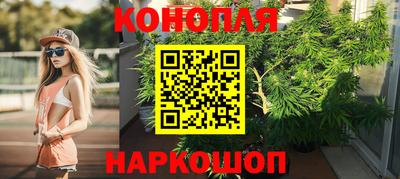 гидра Аргун