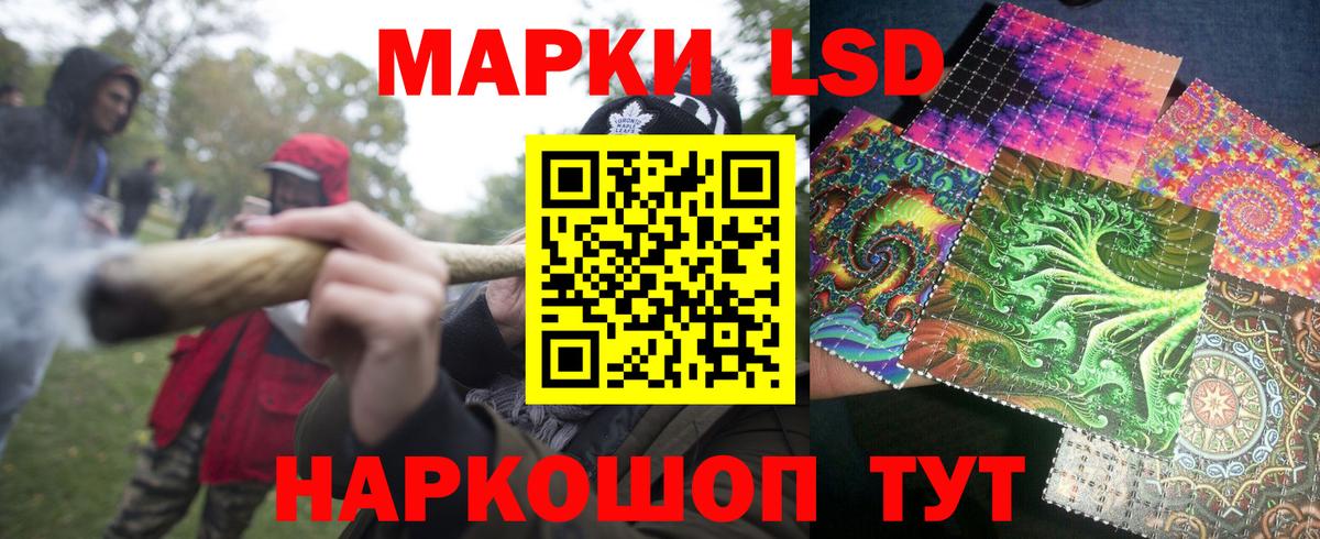 Канабис Владимир