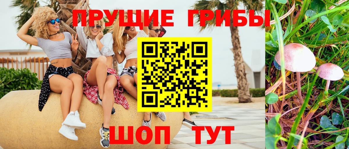 как найти   Галлюциногенные грибы MAGIC MUSHROOMS  Вход с VPN  Владимир 